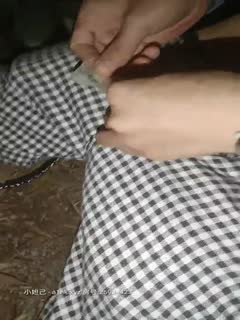 第一視角幹母狗騷樣