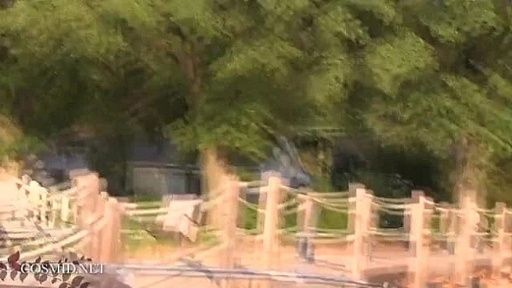 强者从来不抱怨环境 无门三轮车里车震 小情侣只要想哪里都可以震一下