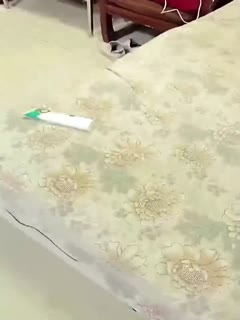 海角乱伦大神爆操怀孕亲姐！淫乱姐弟开房偷情 敏感姐姐水流成河 无套猛干高潮不断 小穴注满亲弟浓精！