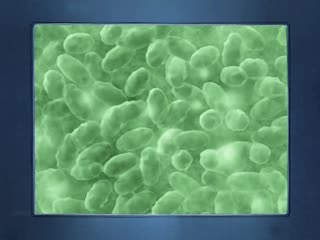 绿帽大神带着兄弟一起3P漂亮的小女友猛操她的小嫩B